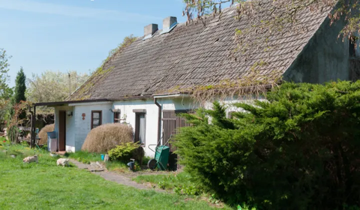 dom wolnostojący, 3 pokoje Dobrylewo