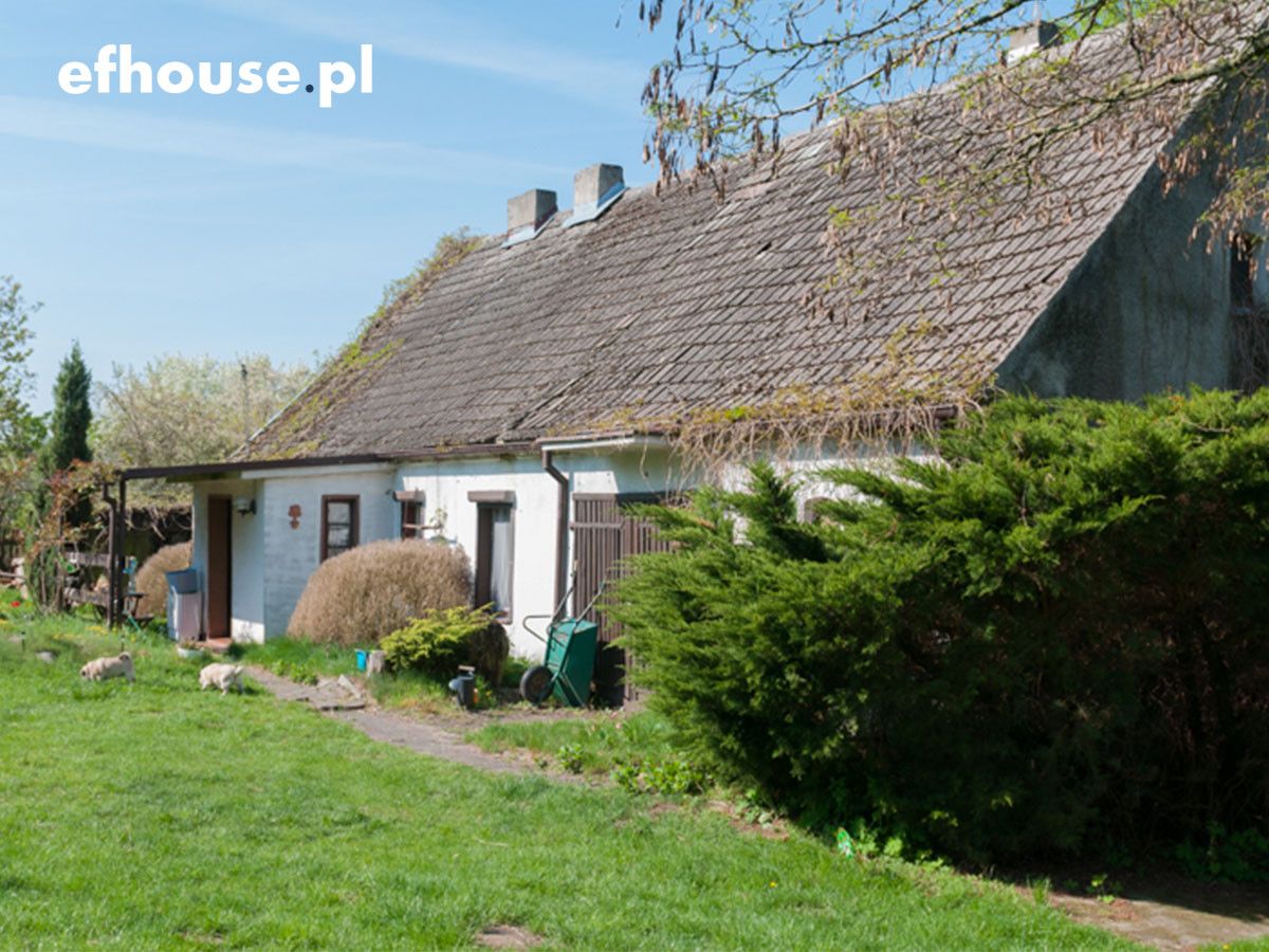 dom wolnostojący, 3 pokoje Dobrylewo. Zdjęcie 1