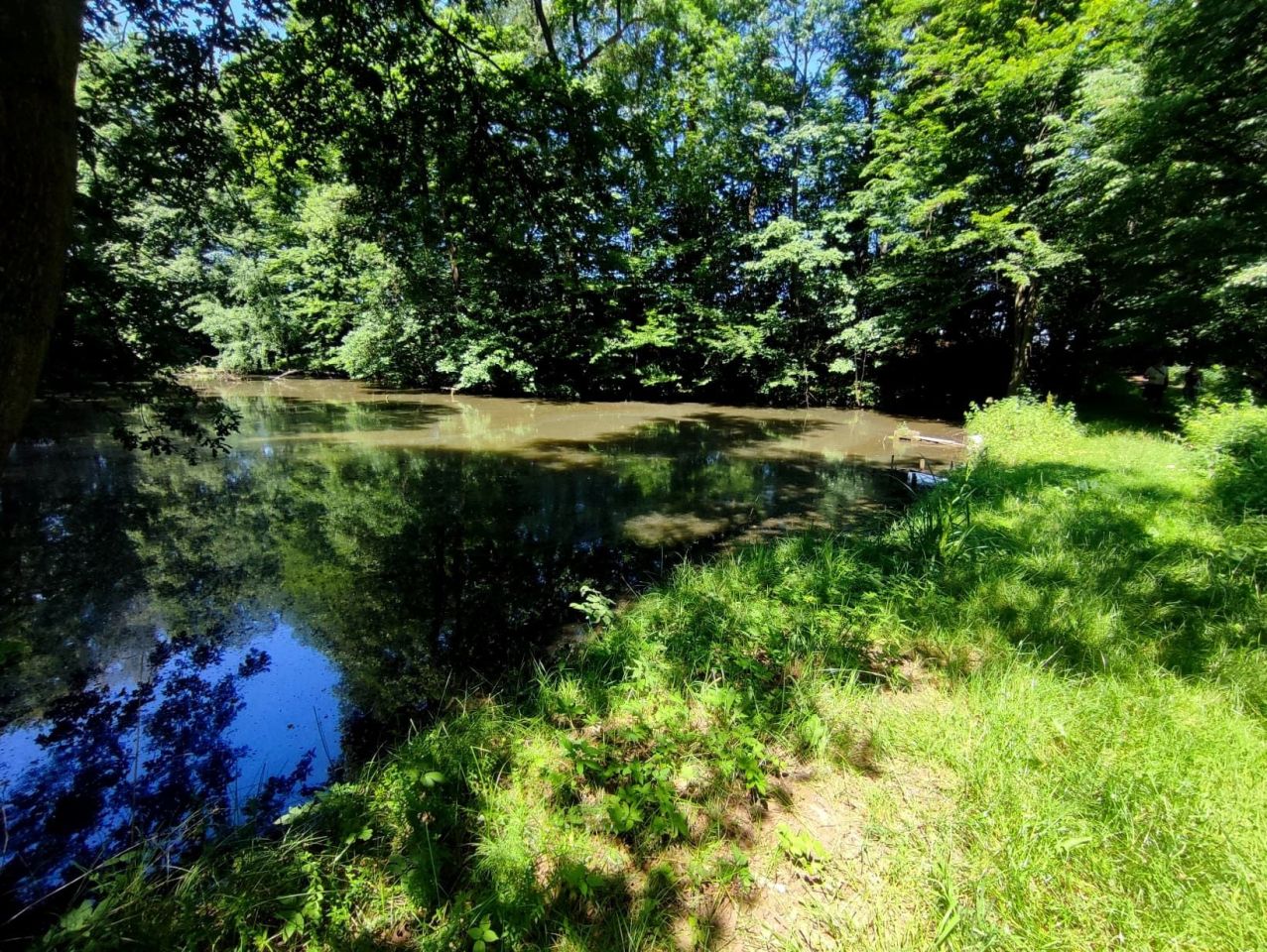 Działka rolna Osiek, ul. Podlesie. Zdjęcie 8