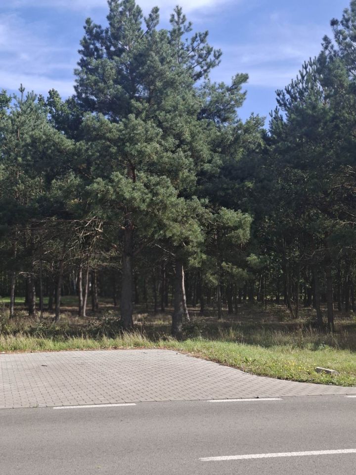 Działka budowlana Marynino. Zdjęcie 7