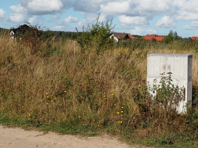 Działka budowlana Dołuje, ul. Wilcza. Zdjęcie 1