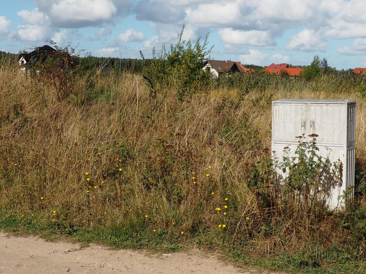 Działka budowlana Dołuje, ul. Wilcza