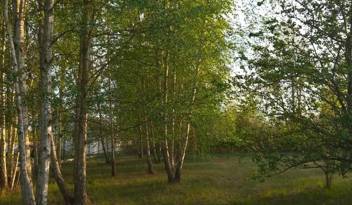 Działka budowlana Henryszew, ul. 3 Maja