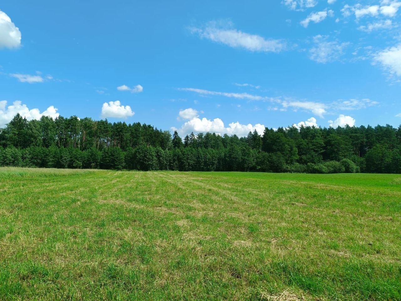 Działka rolna Wilczyny. Zdjęcie 8