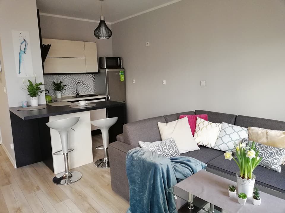 Mieszkanie 1-pokojowe Wrocław Stare Miasto, ul. Stanisława Dubois. Zdjęcie 14