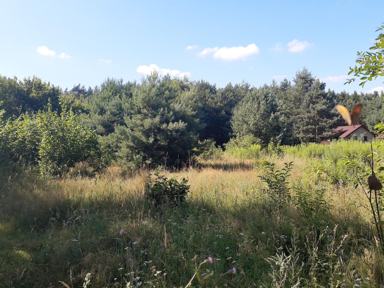 Działka budowlana Tkaczewska Góra. Zdjęcie 2