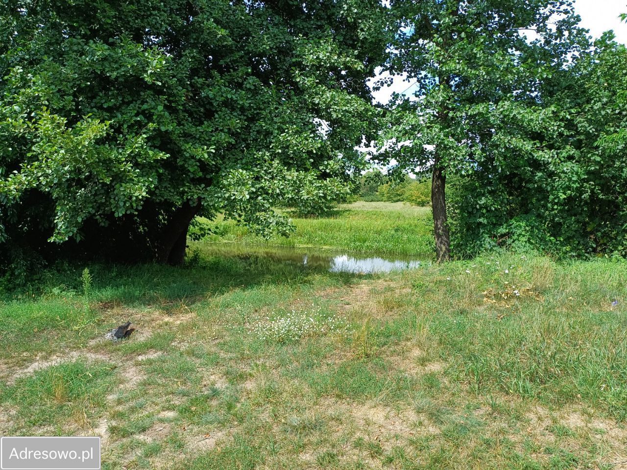 Działka rolno-budowlana Wola Karczewska, ul. Rzeki. Zdjęcie 6