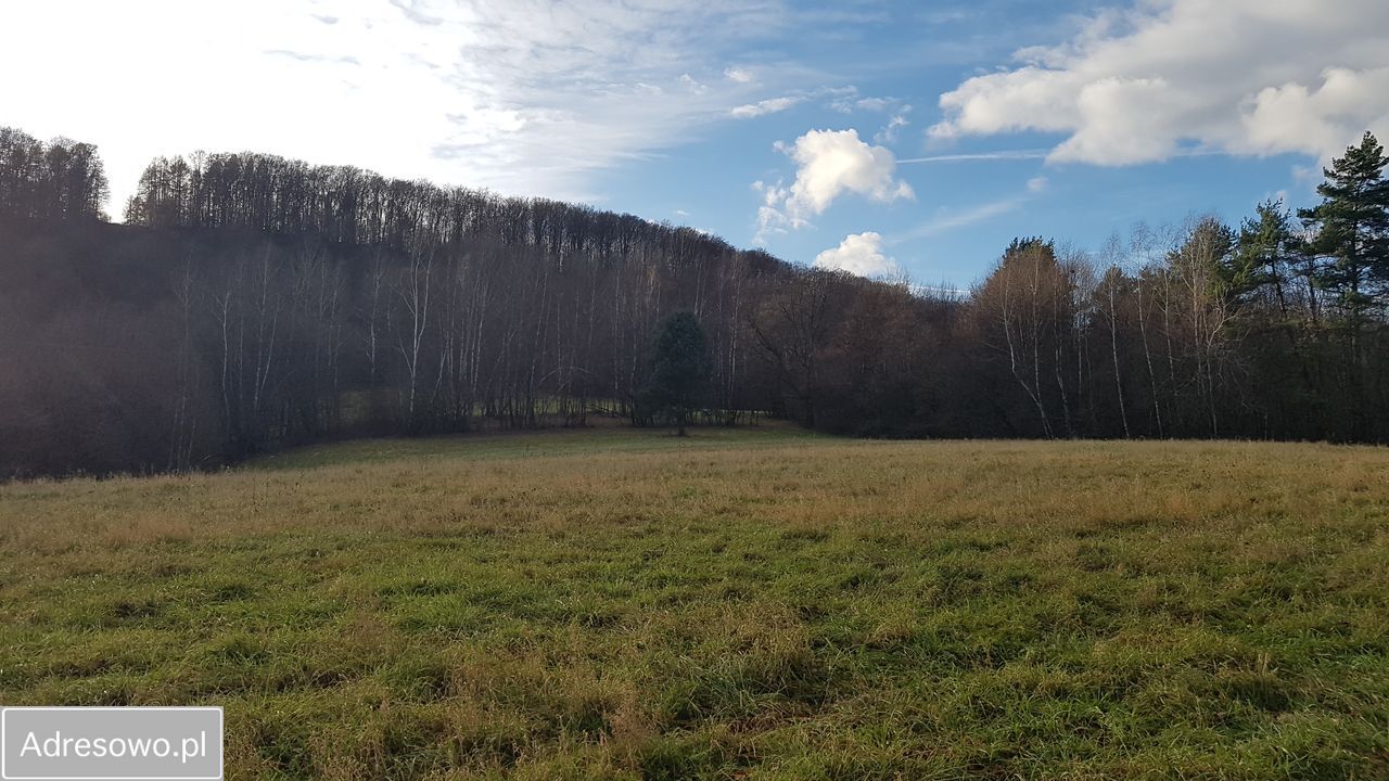 Działka inwestycyjna Bóbrka. Zdjęcie 3