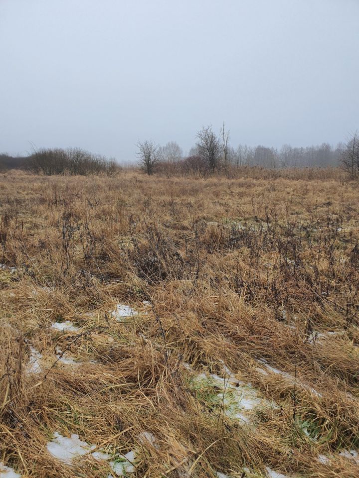 Działka rolno-budowlana Żenichów. Zdjęcie 8
