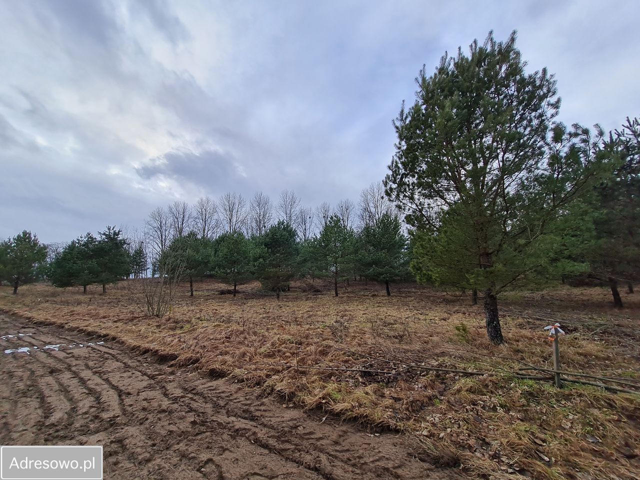 Działka rolna Roje. Zdjęcie 1