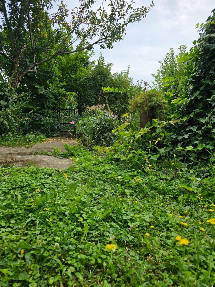 Działka rod Michałów-Reginów, ul. Warszawska. Zdjęcie 5