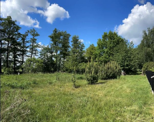 Działka budowlana Gorzów Śląski, Gorzów Śląski. Zdjęcie 1