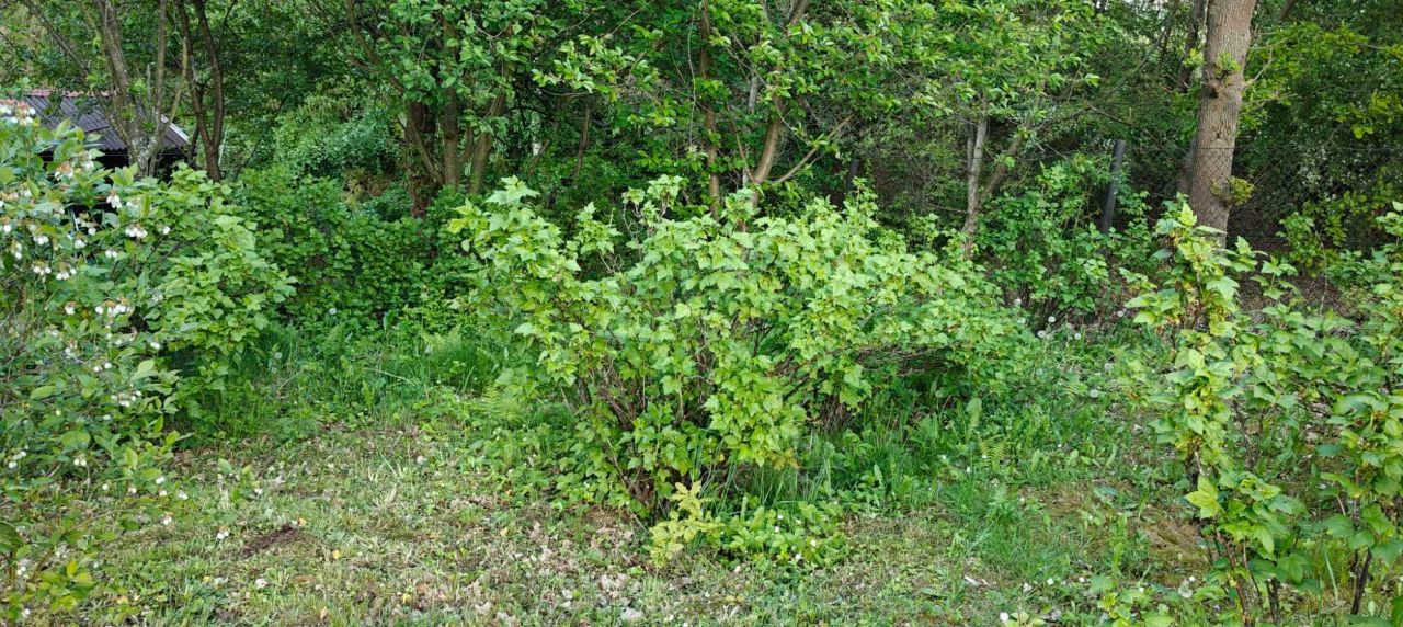 Działka rod Gorlice, ul. Władysława Łokietka. Zdjęcie 8