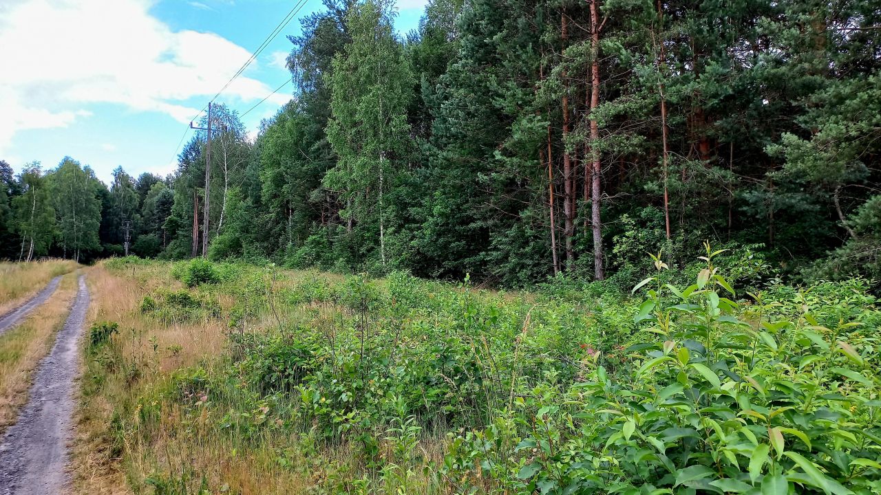 Działka budowlana Tumlin-Osowa, gminna. Zdjęcie 10