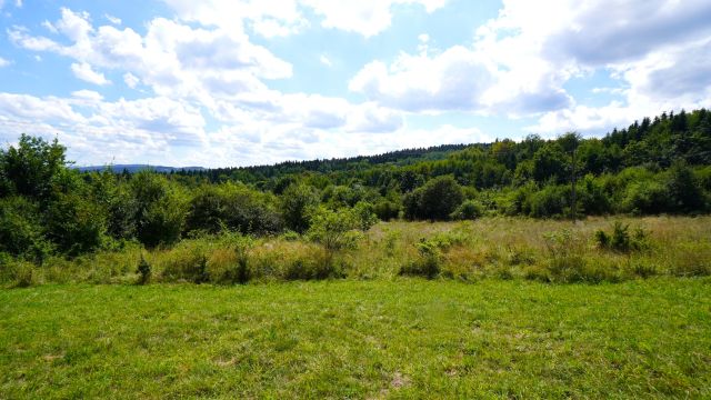 dom wolnostojący, 3 pokoje Bystra. Zdjęcie 3