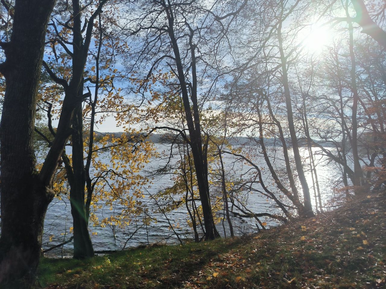 Działka rolno-budowlana Łupawsko. Zdjęcie 7