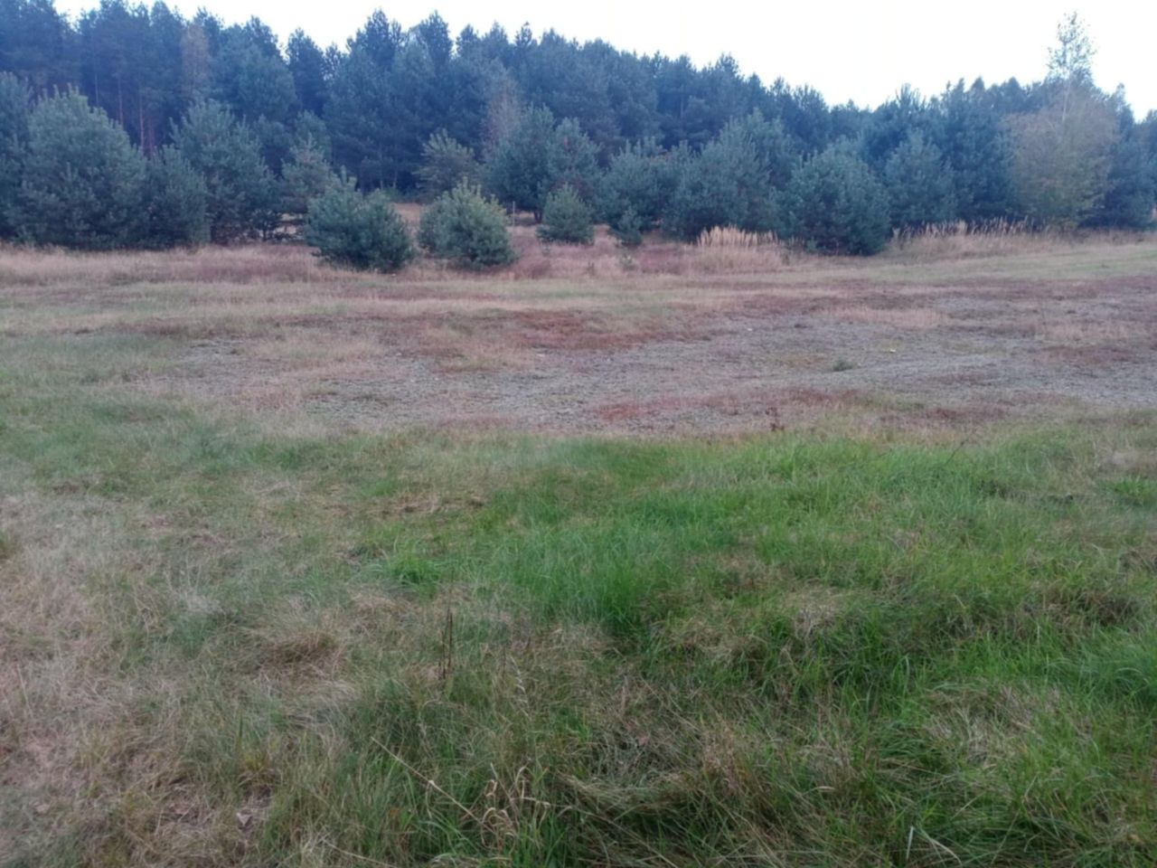 Działka budowlana Hucisko, ul. Wrzosowa. Zdjęcie 2