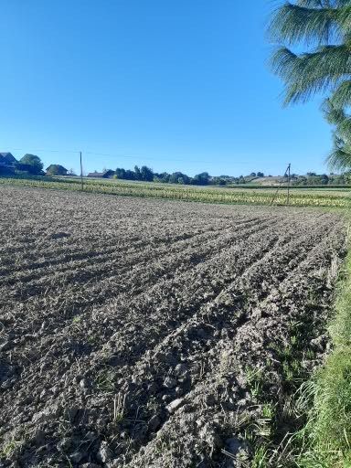 Działka budowlana Klimontów Niwy. Zdjęcie 2