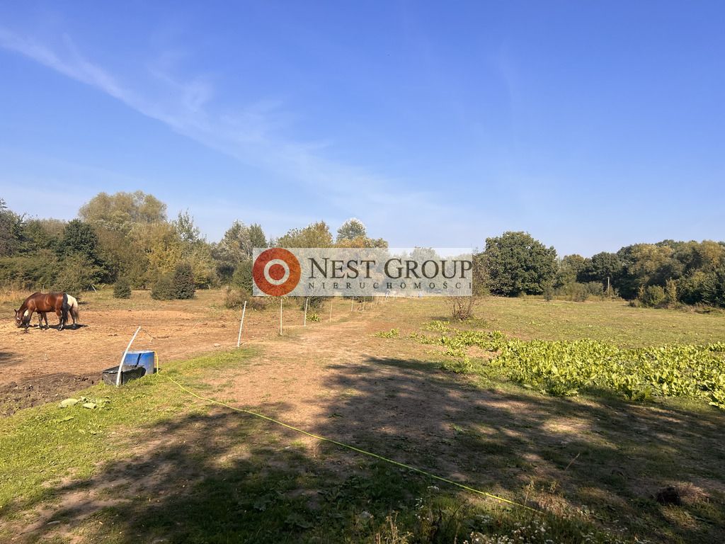 Działka inwestycyjna Skierdy, ul. Lipowa. Zdjęcie 10