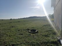 bliźniak Żołędnik. Zdjęcie 1