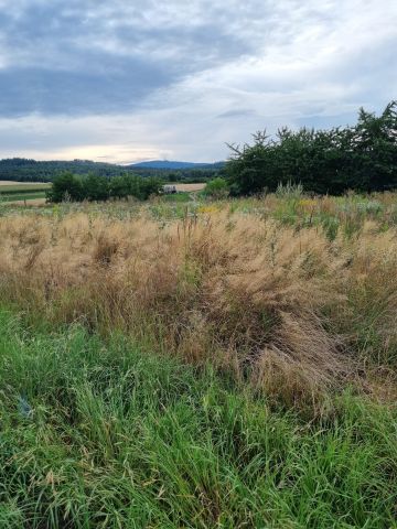 Działka budowlana Młynica. Zdjęcie 1