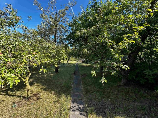 Działka rod Gdynia Orłowo. Zdjęcie 1