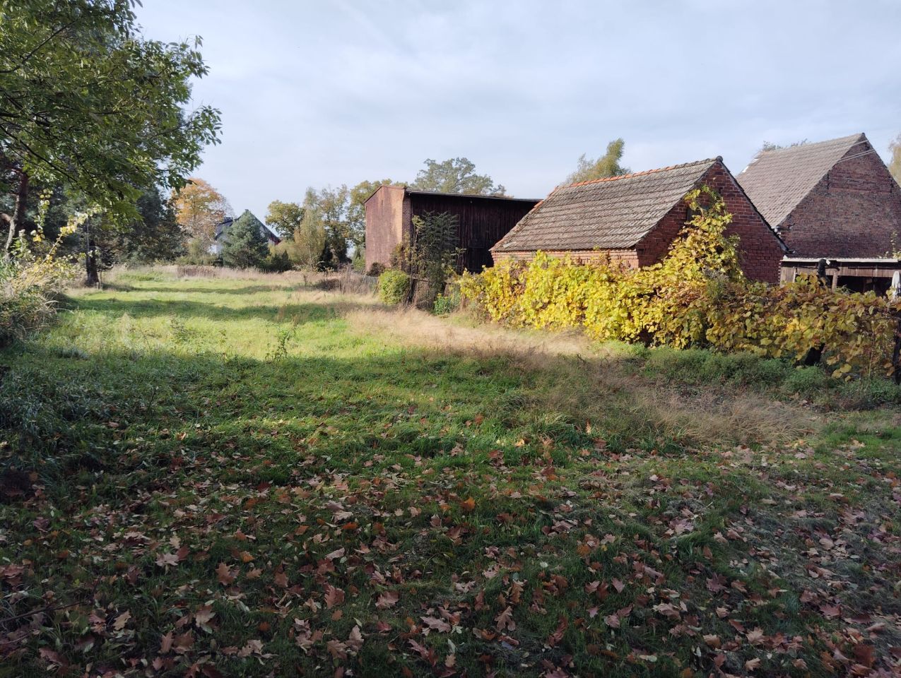 Działka rolno-budowlana Tarnowiec, Tarnowiec