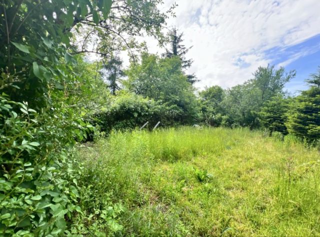 Działka rod Kraków Grzegórzki, os. Podwawelskie. Zdjęcie 1