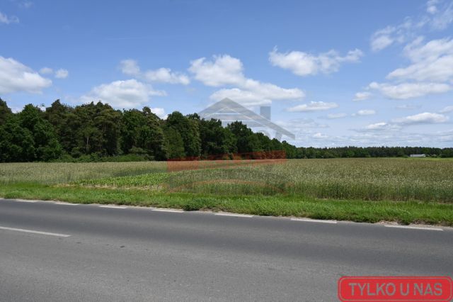 Działka inwestycyjna Strzelce Opolskie, ul. 1 Maja. Zdjęcie 1