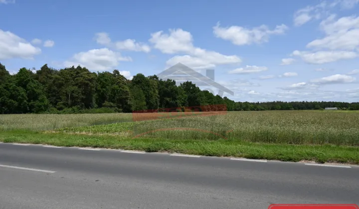 Działka inwestycyjna Strzelce Opolskie, ul. 1 Maja