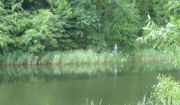 Działka budowlana Żółwiniec