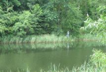 Działka budowlana Żółwieniec. Zdjęcie 1