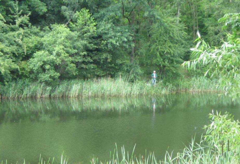 Działka budowlana Żółwieniec. Zdjęcie 2