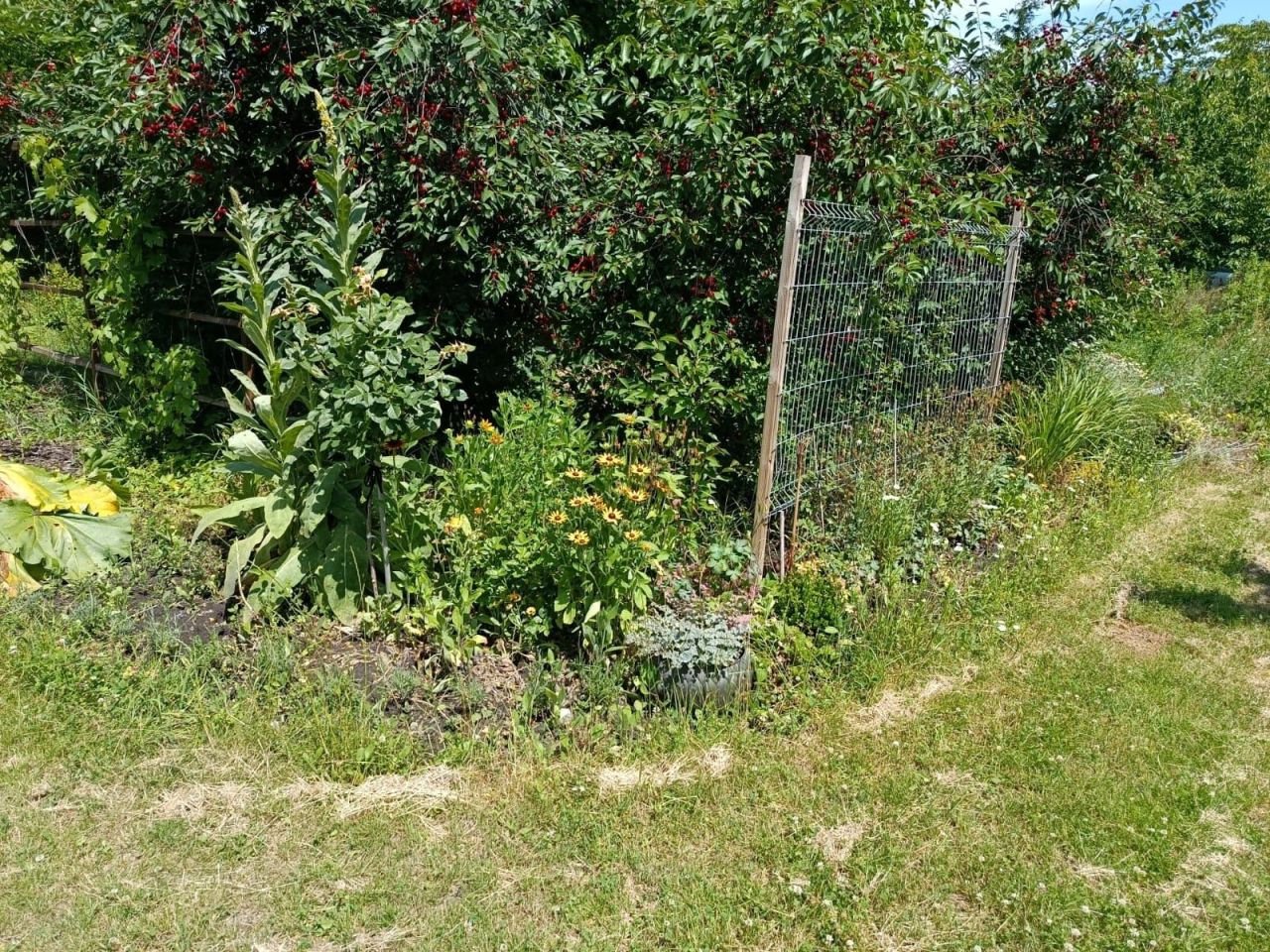 Działka rod Wrocław Krzyki, ul. Powstańców Śląskich. Zdjęcie 6