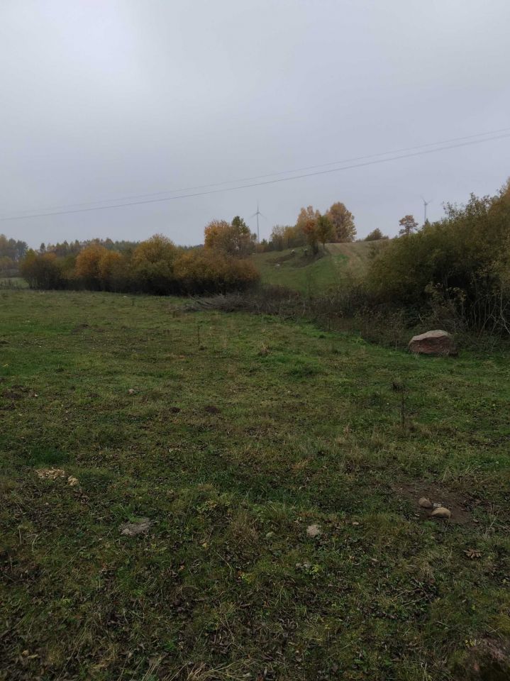 Działka rolno-budowlana Kolonia Przerośl. Zdjęcie 3