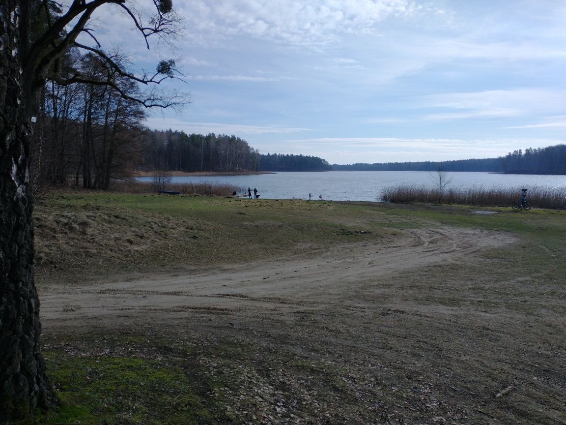 Działka siedliskowa Glebiska. Zdjęcie 3