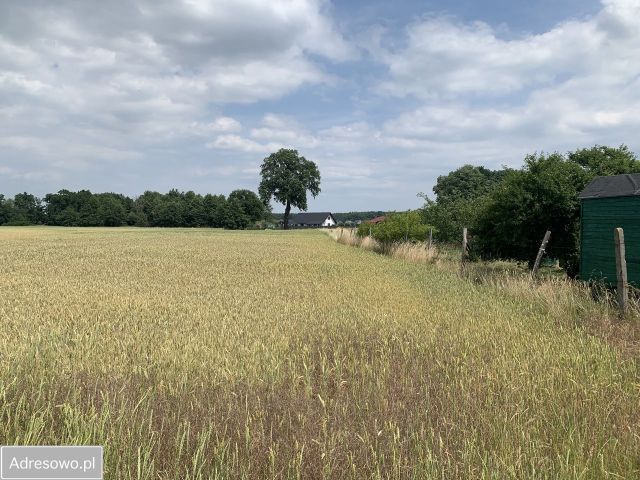 Działka siedliskowa Borek. Zdjęcie 1