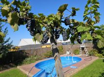 dom wolnostojący, 5 pokoi Borowa Góra, ul. Kameralna. Zdjęcie 3