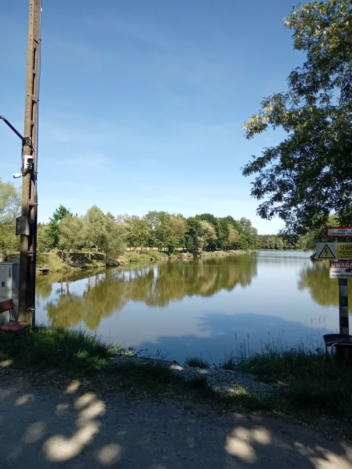 Działka budowlana Dzięczyna. Zdjęcie 7