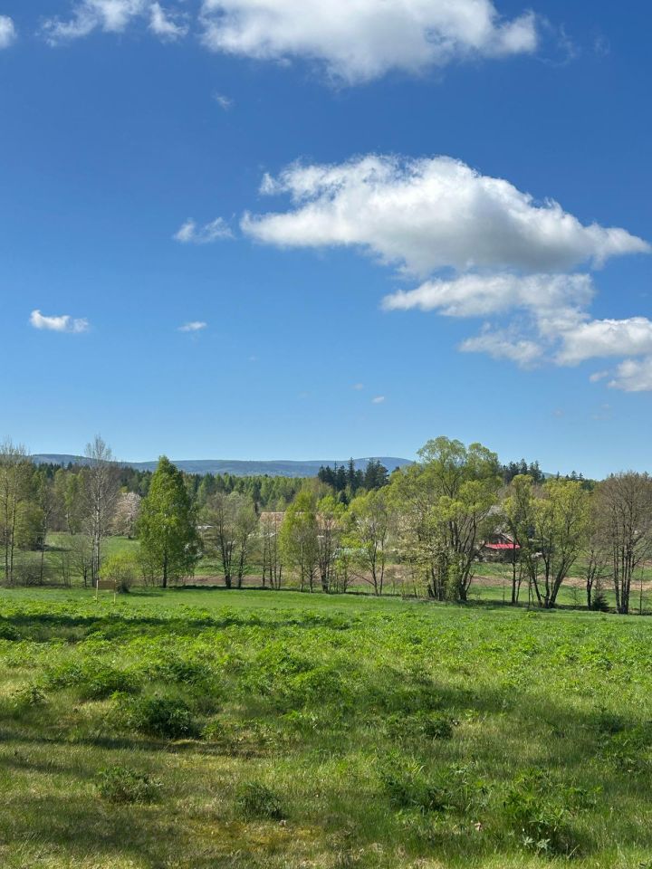 Działka rolno-budowlana Gajówka. Zdjęcie 3