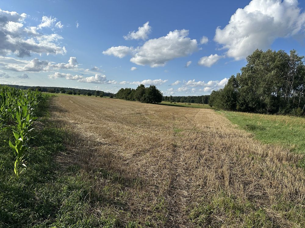 Działka budowlana Świniary Borowna. Zdjęcie 3