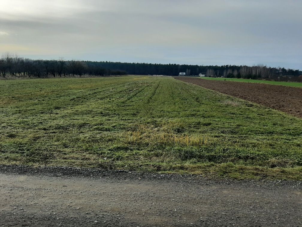 Działka rolna Magnuszew, ul. Brzozowa. Zdjęcie 1