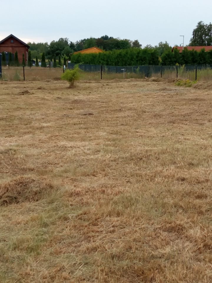 Działka rod Osuchów, ul. Wiejska