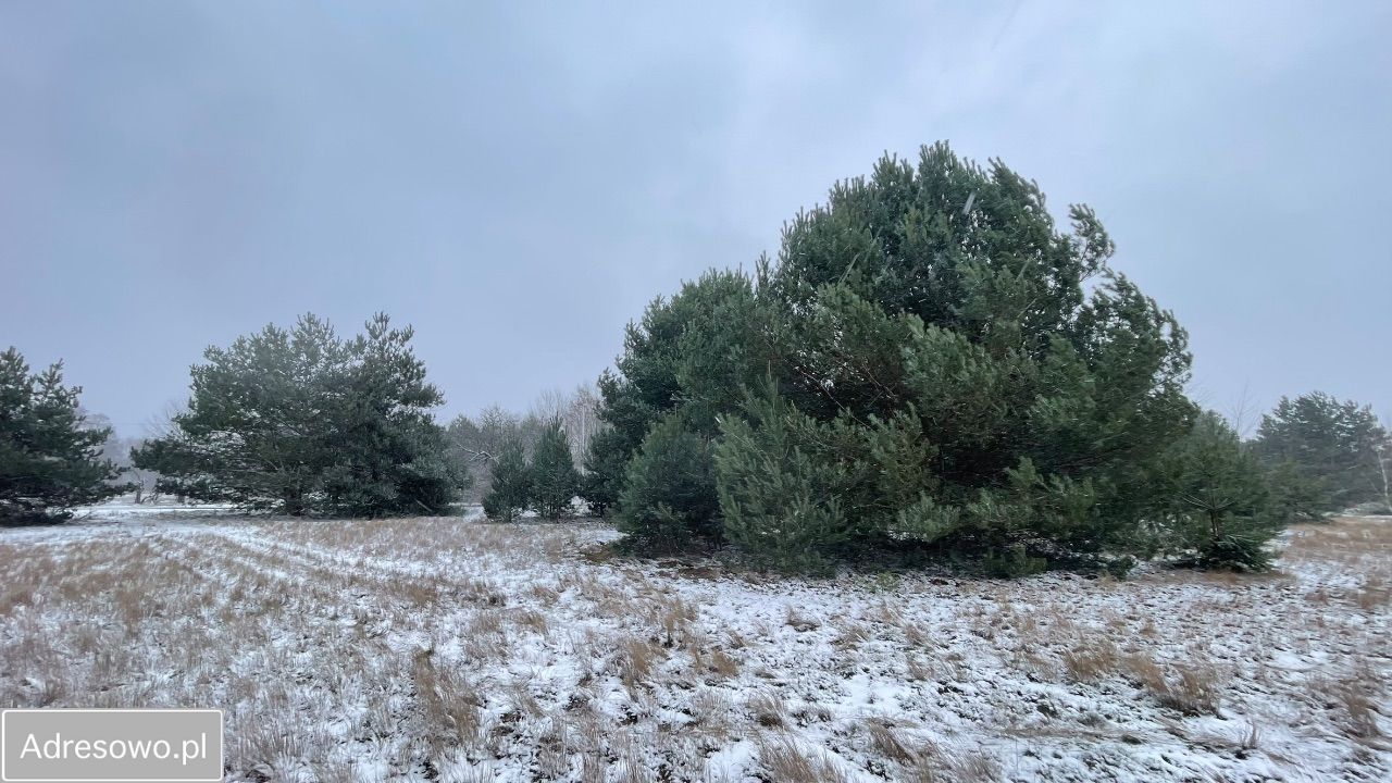 Działka budowlana Walendów, ul. Sadowa. Zdjęcie 16