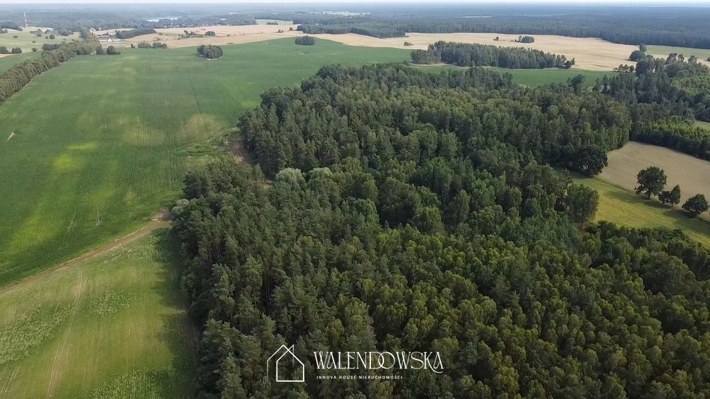 Działka leśna Pasieka. Zdjęcie 4