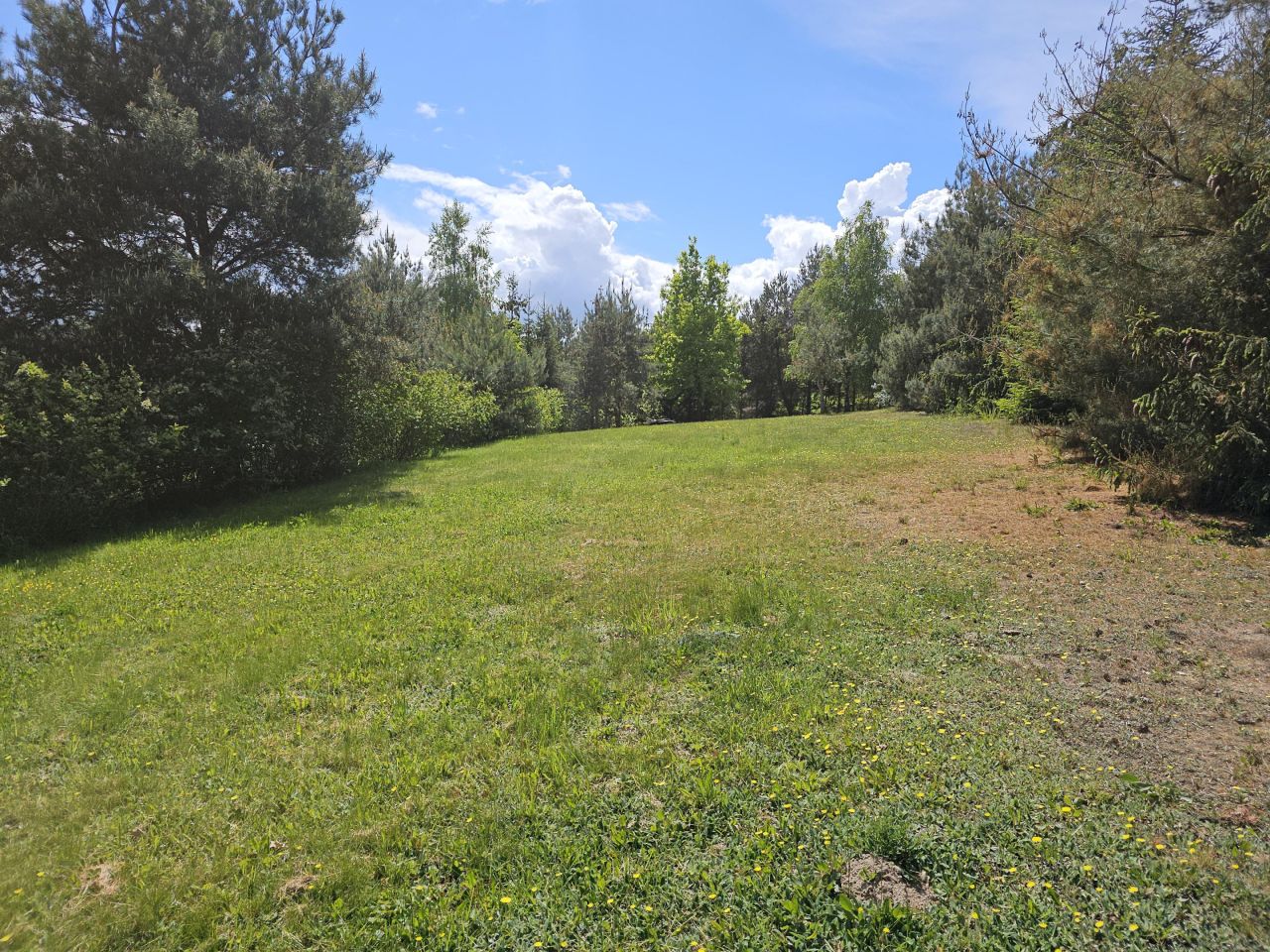 Działka rekreacyjna Kleszczyn. Zdjęcie 9