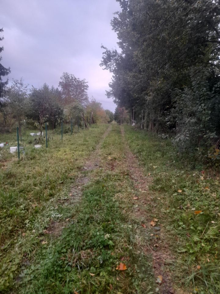 Działka rolno-budowlana Brajniki. Zdjęcie 3