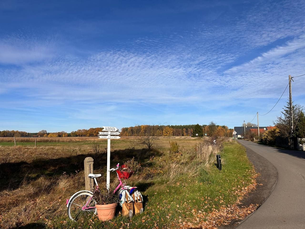 Działka budowlana Chudzowice. Zdjęcie 4