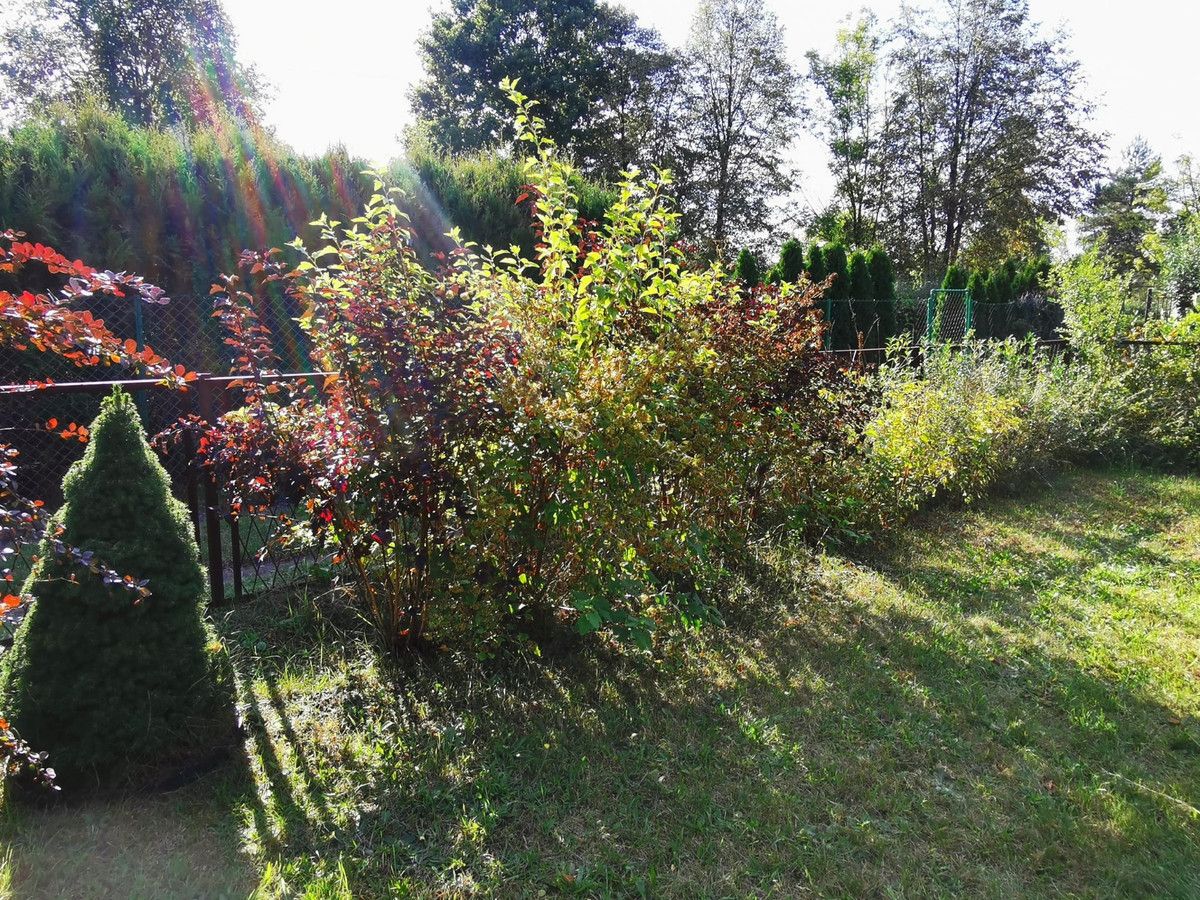 Działka rod Sosnowiec, ul. Portowa. Zdjęcie 20