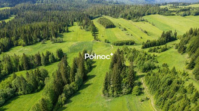Działka Pieniążkowice. Zdjęcie 7